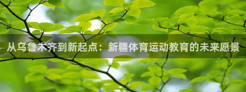 从乌鲁木齐到新起点：新疆体育运动教育的未来愿景