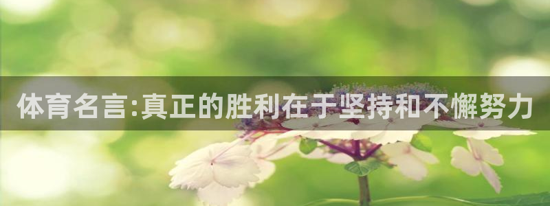 体育名言:真正的胜利在于坚持和不懈努力