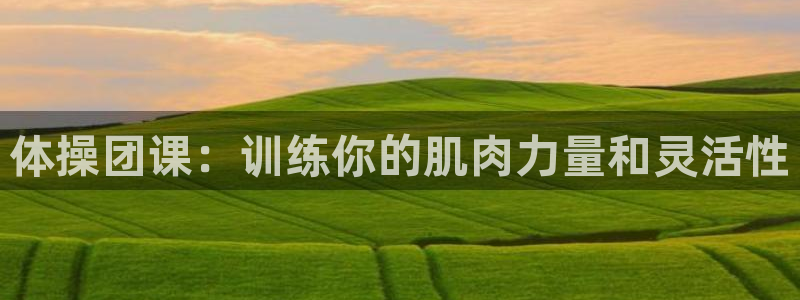 体操团课：训练你的肌肉力量和灵活性