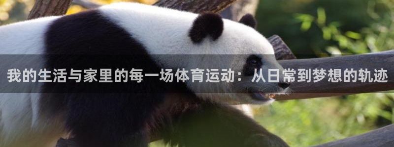 我的生活与家里的每一场体育运动：从日常到梦想的轨迹
