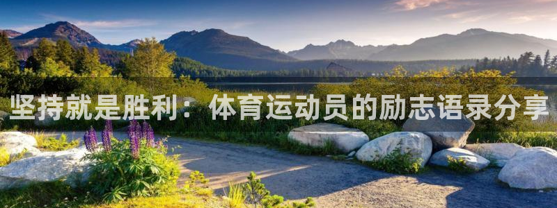 坚持就是胜利：体育运动员的励志语录分享