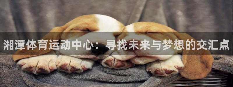 湘潭体育运动中心：寻找未来与梦想的交汇点