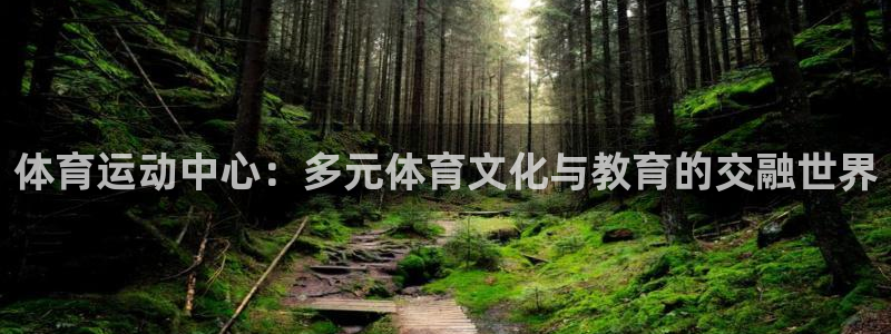 体育运动中心：多元体育文化与教育的交融世界