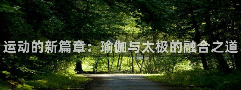 运动的新篇章：瑜伽与太极的融合之道