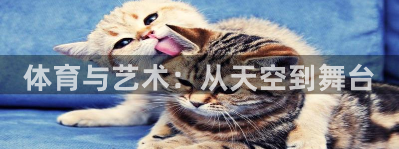 体育与艺术：从天空到舞台