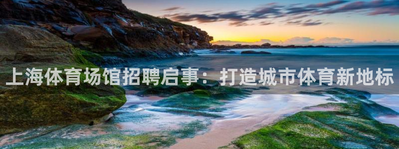 上海体育场馆招聘启事：打造城市体育新地标