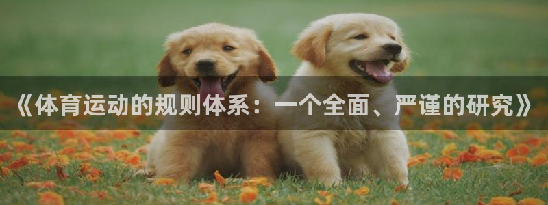《体育运动的规则体系：一个全面、严谨的研究》