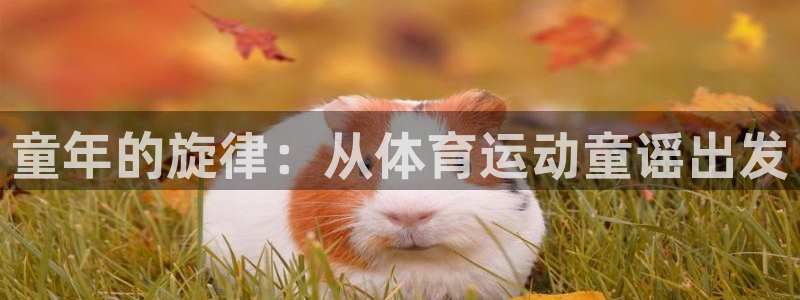 童年的旋律：从体育运动童谣出发