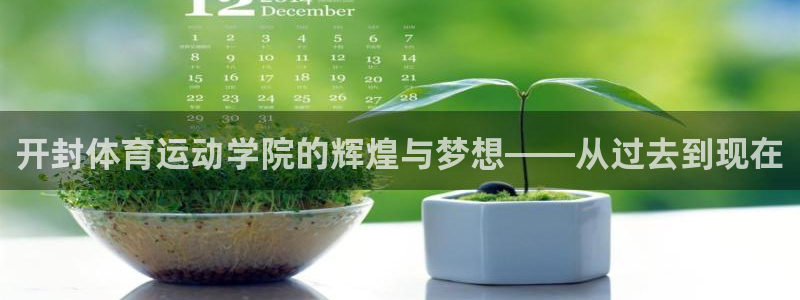 开封体育运动学院的辉煌与梦想——从过去到现在