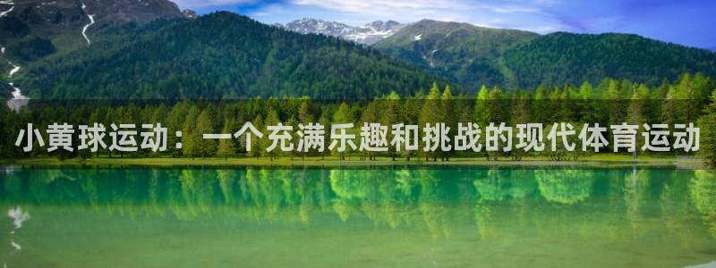 小黄球运动：一个充满乐趣和挑战的现代体育运动